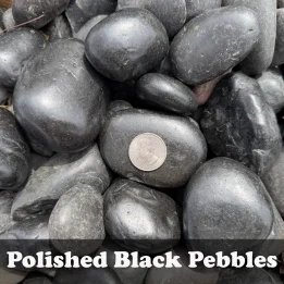 Polished Black Pebble